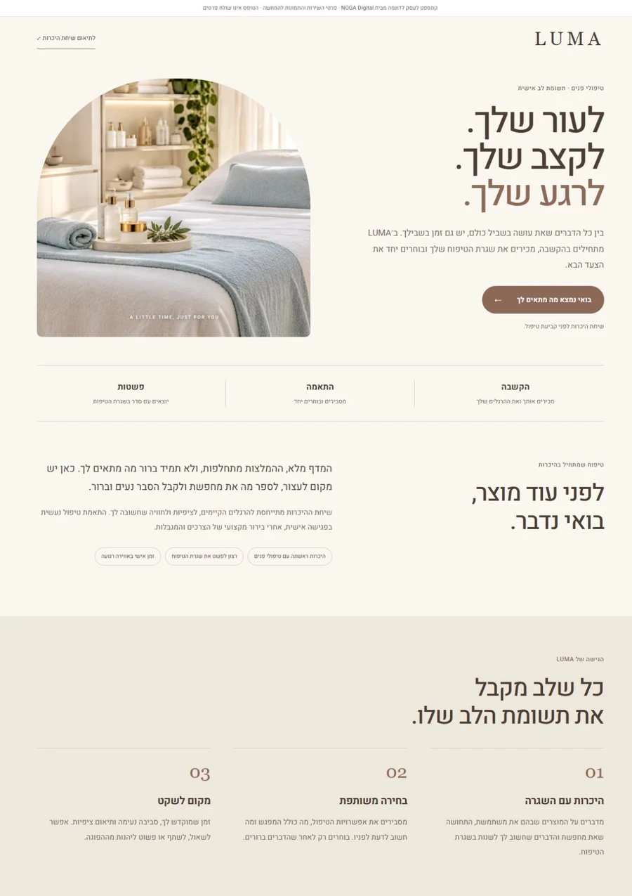 תצוגה אמיתית מתוך דף הנחיתה לדוגמה