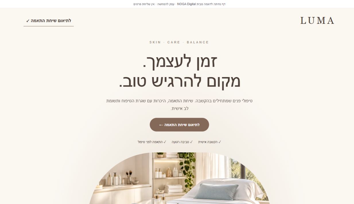 תצוגה אמיתית מתוך דף הנחיתה לדוגמה