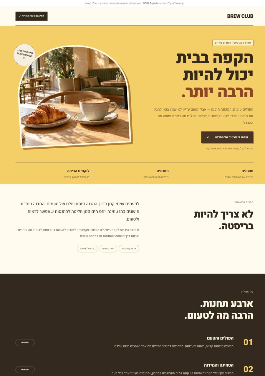 תצוגה אמיתית מתוך דף הנחיתה לדוגמה